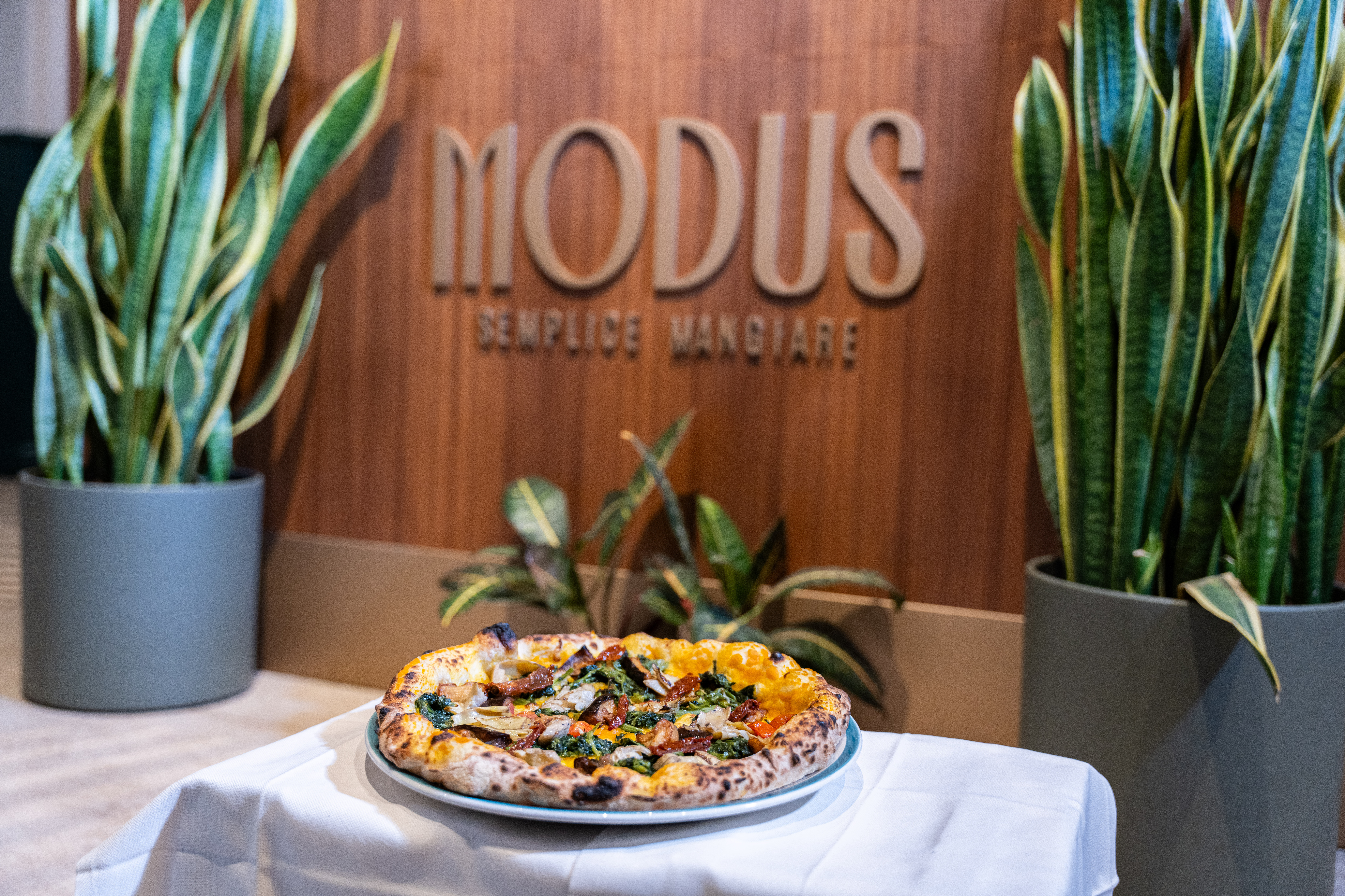Modus Pizzeria Milan, authentic Cilento flavors and mediterranean recipes in the heart of the city